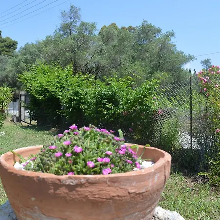 Kathrin's House Villa